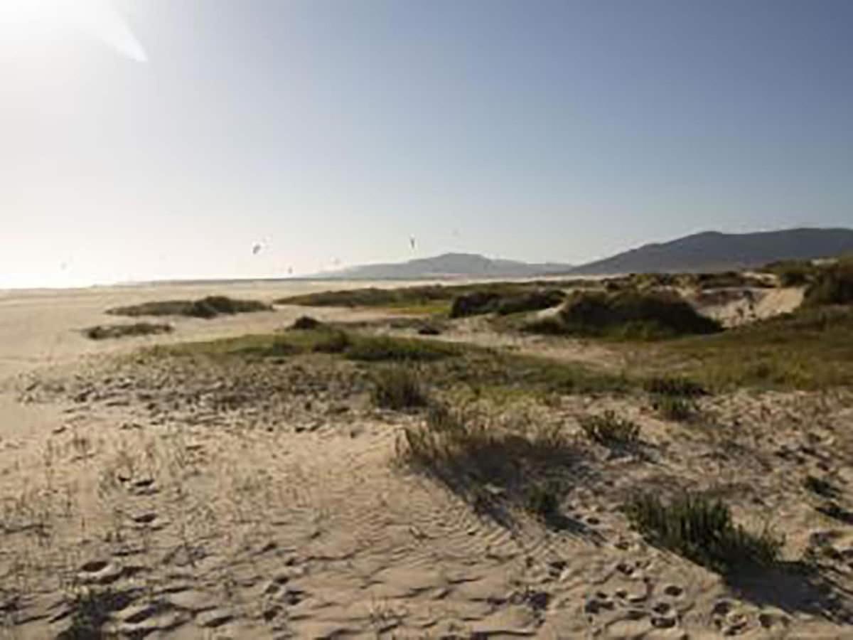 Tarifa II Convento Apartment Екстериор снимка